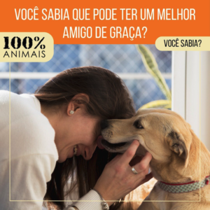 Read more about the article Você sabia que pode ter um melhor amigo de graça?