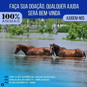 Read more about the article Faça sua doação, qualquer ajuda será bem vinda!