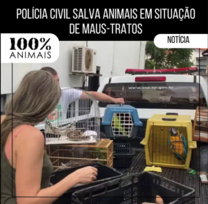 Read more about the article Clínica veterinária com animais em situação de maus-tratos é interditada em Campinas.