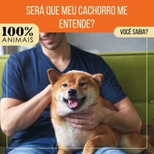 Read more about the article Será que meu cachorro me entende?